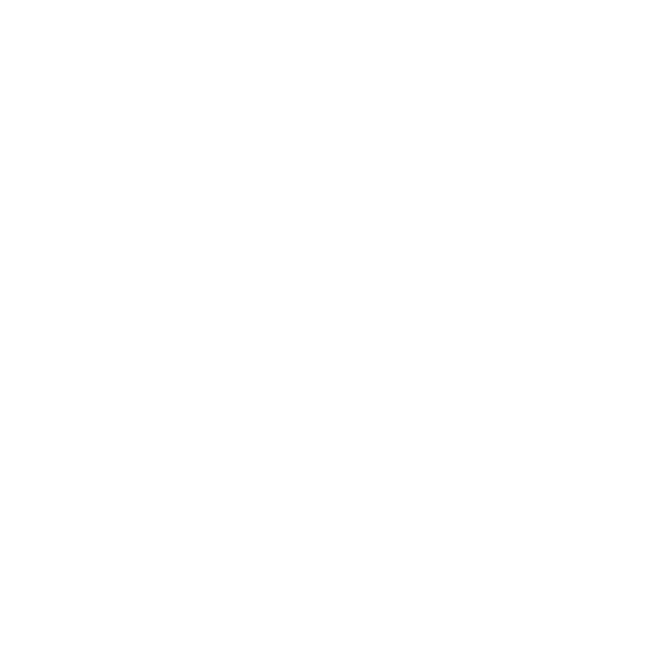 Design EVJF future mariée — Bride — calligraphie blanche et trait