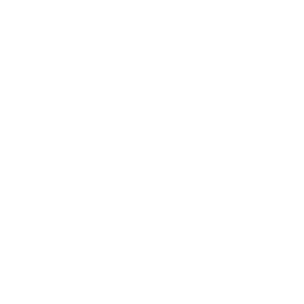 Design Bachelor — nœud papillon
