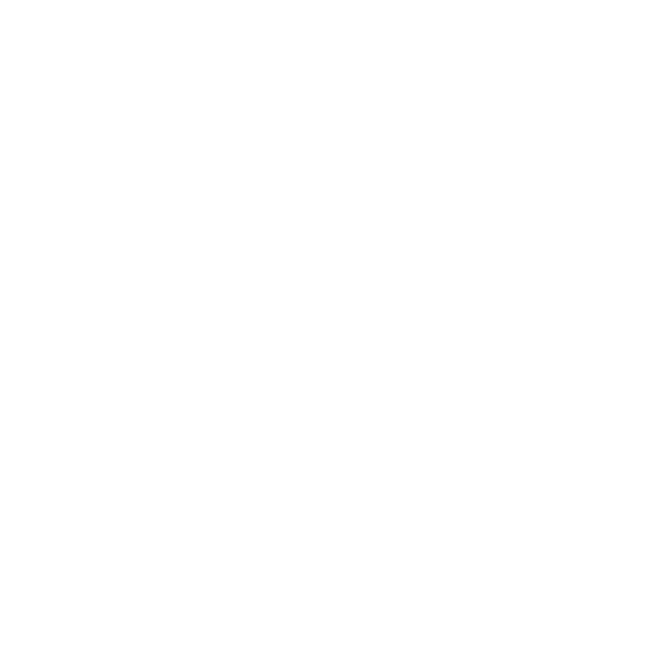Design Team Mariée — grosses lettres et calligraphie blanches