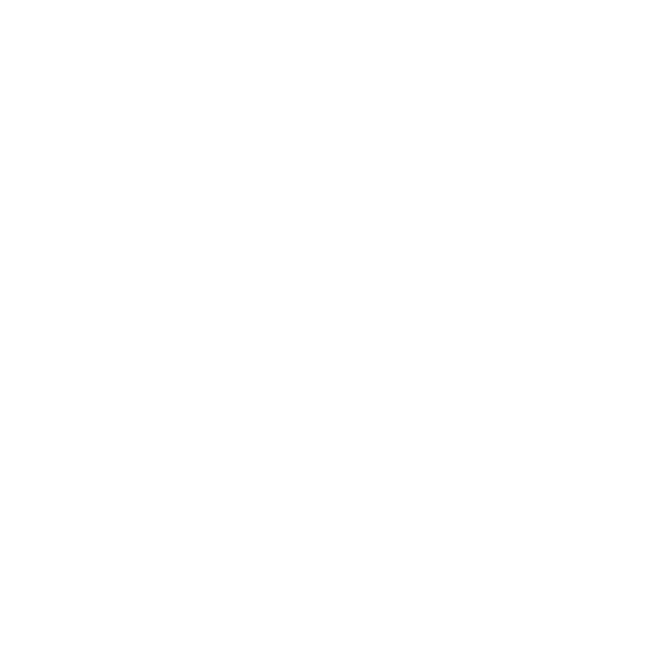 Design Bride Squad — calligraphie blanche et cœur