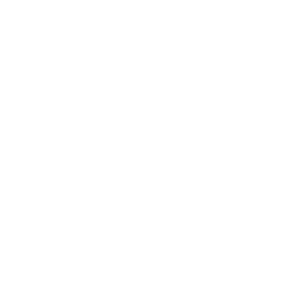 Design Bride Squad — calligraphie blanche