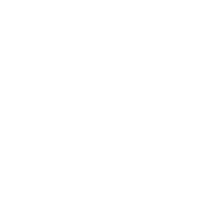 Design témoin et demoiselle d'honneur — I’ll Bring The Ladies - Enterrement de vie de garçon drôle pour hommes