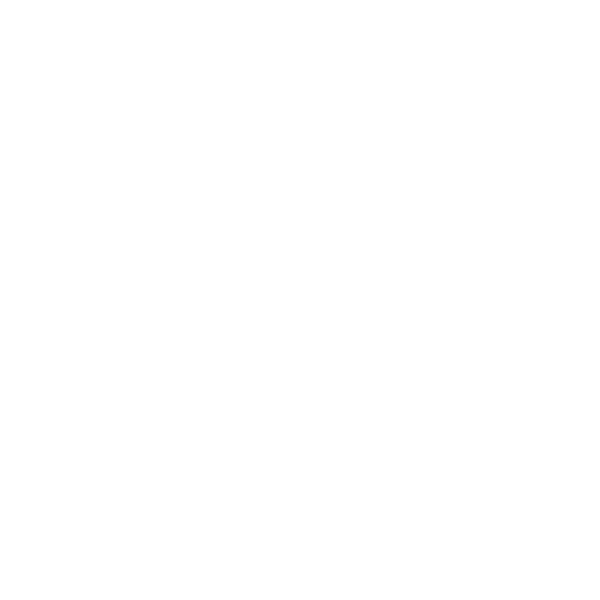 Design Team de la mariée — ornement fin blanc