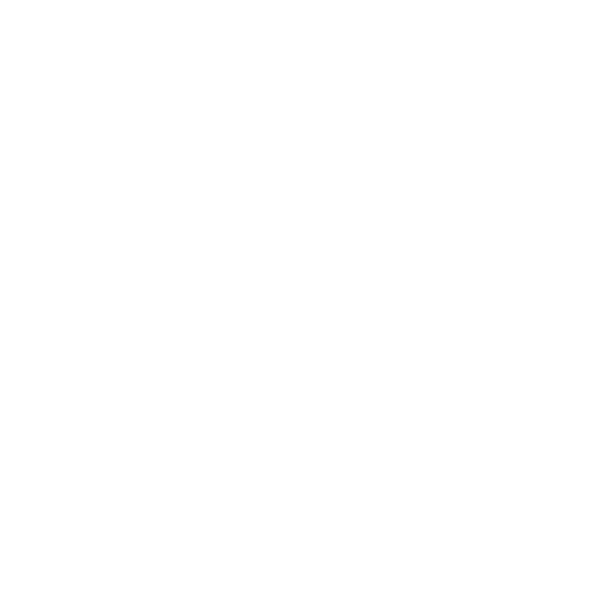 Design bachelor party — Game over ! — la mariée attrape le marié