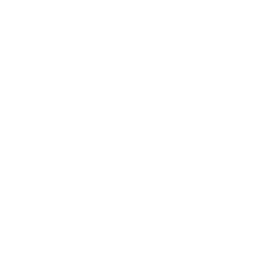 Design EVG EVJF — Team du marié — nœud papillon blanc