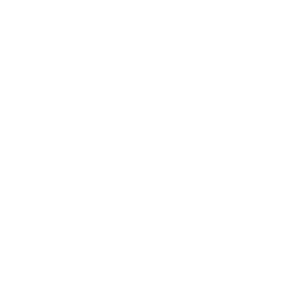 Design Brigade EVG qui déchire sa race — étoiles, blanc
